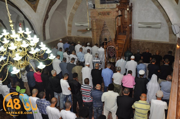 3ed ad7a ma7modiya (35).JPG